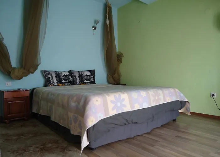 Hotel Dionis Petrič