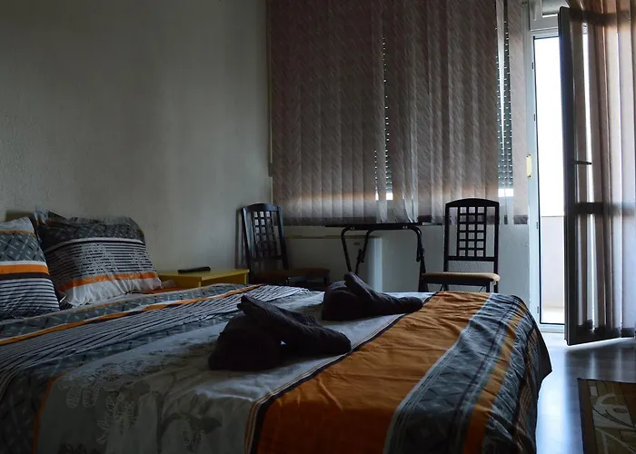 Hotel Dionis Petrič