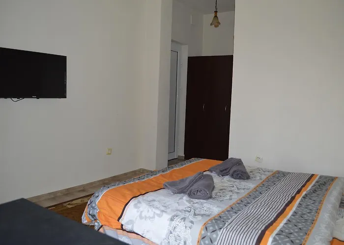 Hotel Dionis Petrič